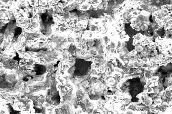 成分分析检测项目